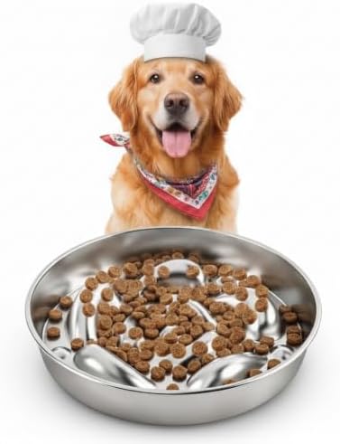 Stainless steel slow feeder dog bowl with raised bone-shaped obstacles