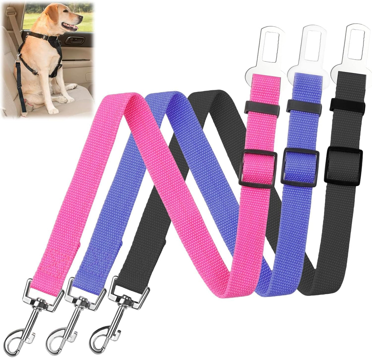 adjustable dog seat belt clipped to a car seat buckle